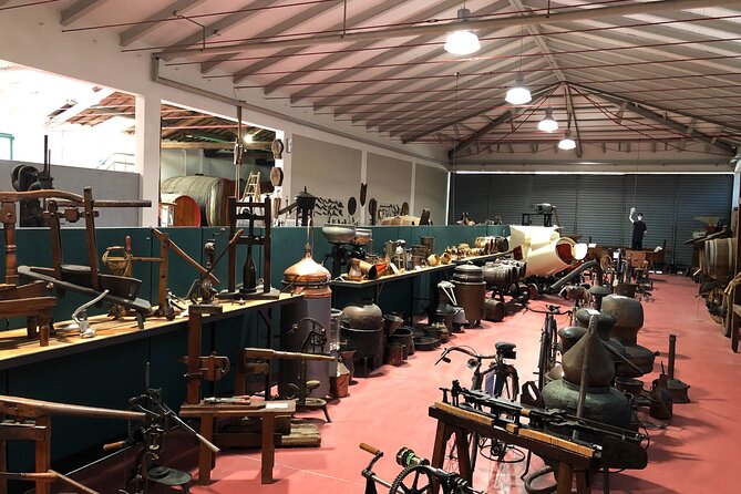 FoodTour:Prosciutto, Parmigiano, Balsamic, Lambrusco, Lunch, Transport - Factory Tour Highlights