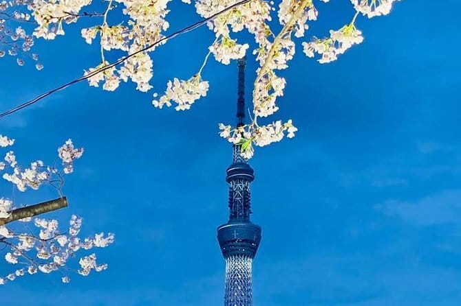 For a Limited Time, Hakone & Cherry Festival Kawazu 2-12 Guests - Accessibility and Restrictions