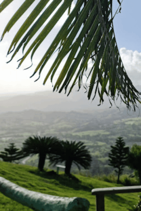 For Small Groups Half-Day Tour to Montaña Redonda - Frequently Asked Questions