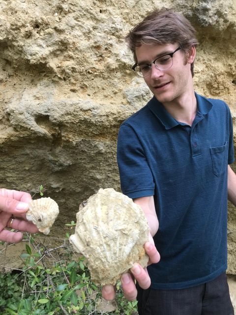 Foraging Fossils & Plants - Key Points