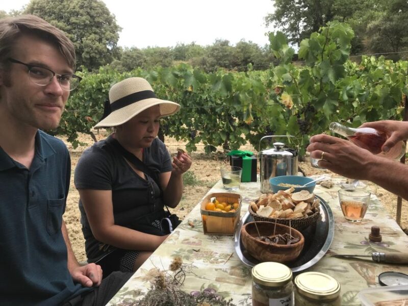 Foraging Fossils & Plants - The History of the Region