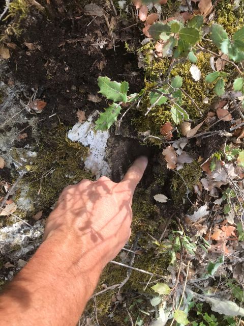 Foraging Fossils & Plants - Frequently Asked Questions