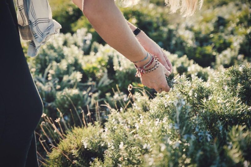 Foraging Tour in the Tuscan Countryside - Experience Highlights
