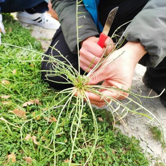 Foraging Tour in the Tuscan Countryside - Frequently Asked Questions