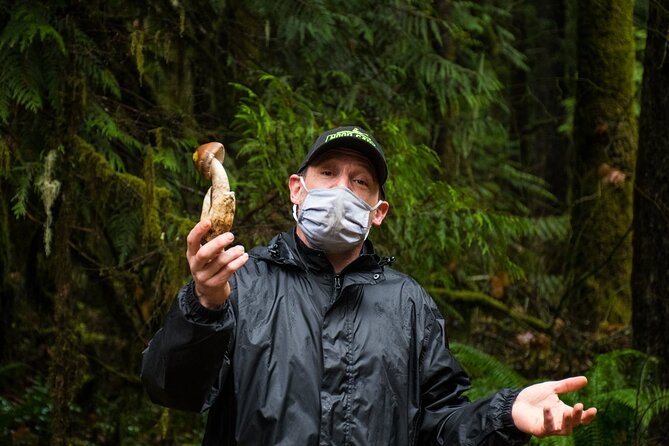 Foraging Tour of Edible Plants and Mushrooms in Brinnon - What to Expect on the Tour
