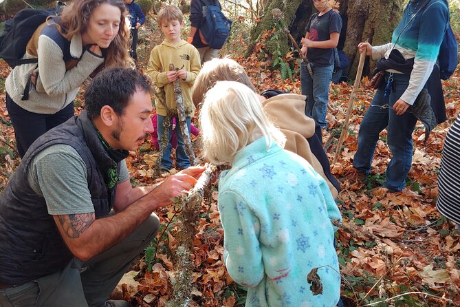 Foraging Tour of Edible Plants and Mushrooms in Brinnon - Edible Plants and Mushrooms