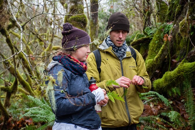 Foraging Tour of Edible Plants and Mushrooms in Brinnon - Booking Your Foraging Adventure