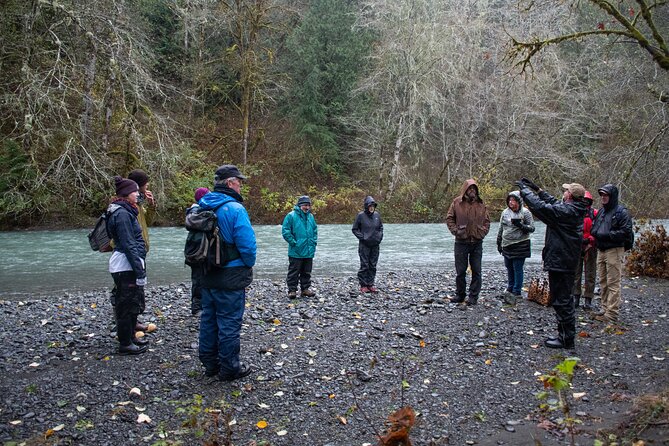 Foraging Tour of Edible Plants and Mushrooms in Brinnon - Enhancing Your Foraging Skills