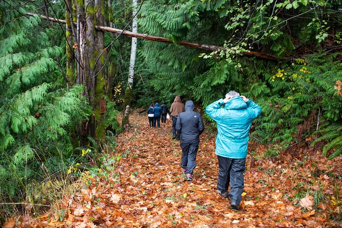 Foraging Tour of Edible Plants and Mushrooms in Brinnon - Frequently Asked Questions