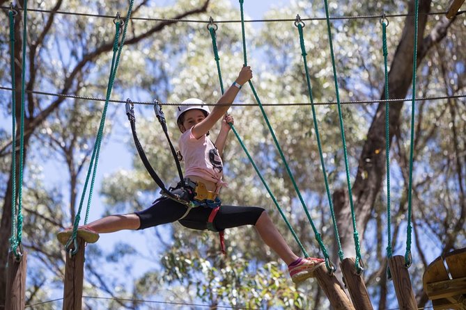 Forest Adventures - Ropes Course and Ziplines
