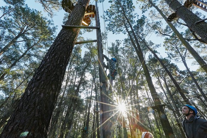 Forest Adventures - Suitable for All Ages
