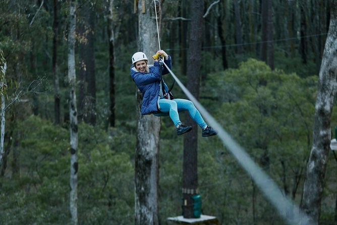 Forest Adventures - Booking and Pricing Information