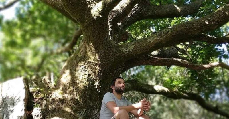 Forest Bathing Full Circle Experiences - Creative Inspiration in the Forest