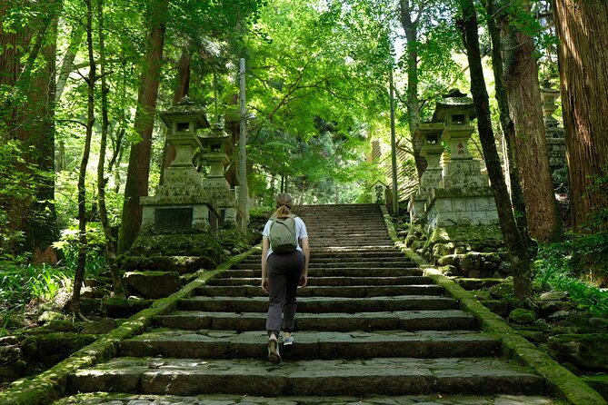 Forest Bathing in Temple and Enjoy Onsen With Healing Power - Transportation for the Group