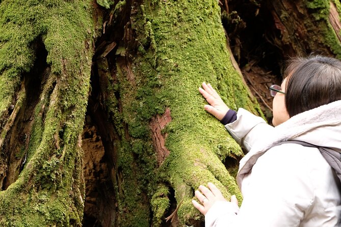 Forest Bathing in Temple and Enjoy Onsen With Healing Power - Meeting Point at Odawara Station