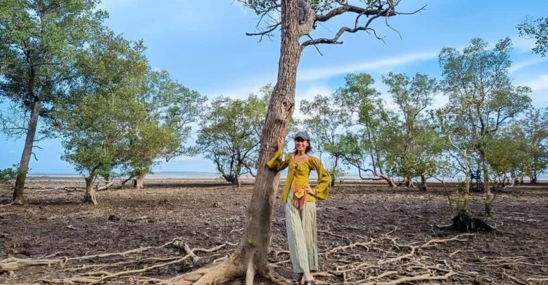 Forest Bathing & Nature Retreat & Aroma Blending Workshop - Forest Bathing and Nature Retreat