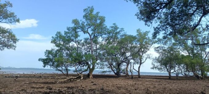 Forest Bathing & Nature Retreat & Aroma Blending Workshop - Cancellation Policy
