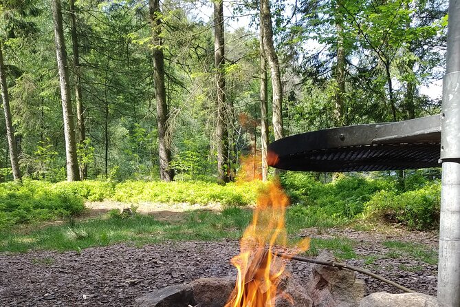 Forest Gourmet at the Countryside Near Halmstad With Lunch - Hiking Experience