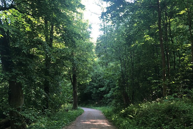 Forest Hike in Heidelberg - About Your Stay