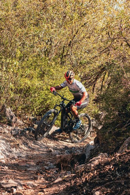 Forest Of Dean: Mountain Bike Tour - Key Points