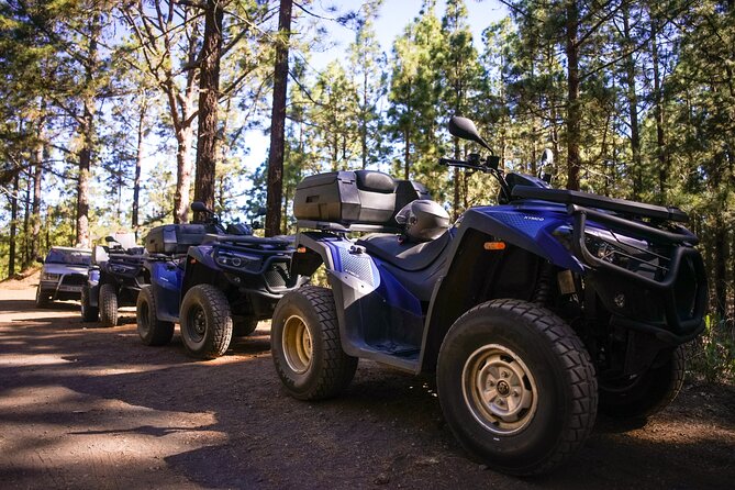 Forest & Off Road National Park Quad Biking Tour - Whats Included and Pickup Information
