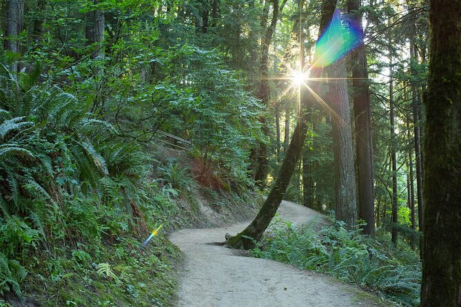 Forest Park Hiking Tour to Pittock Mansion - What to Bring and Wear