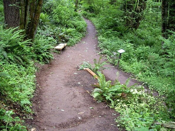 Forest Park Urban Hiking Tour, Portland - Meeting Point and Pickup