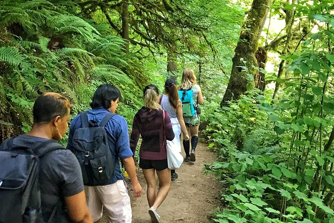 Forest Park Urban Hiking Tour, Portland - Tour Group Size