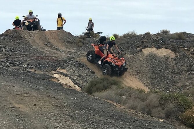 Forest Quad Trip in South Tenerife - Accessibility Information