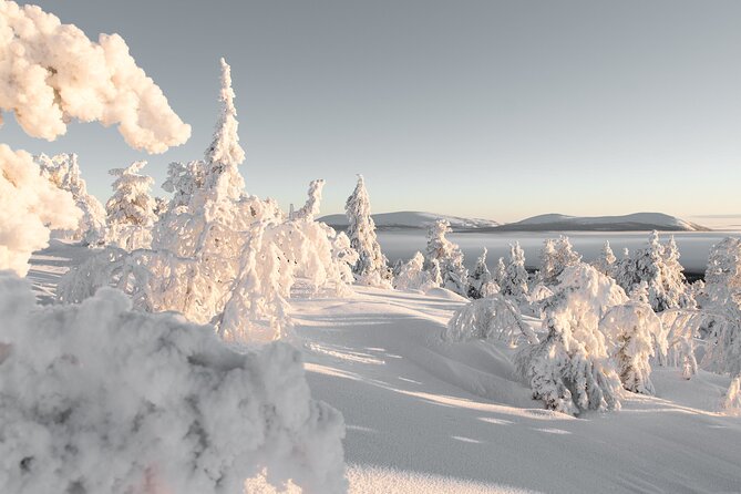 Forest Skiing in Nature - Key Points