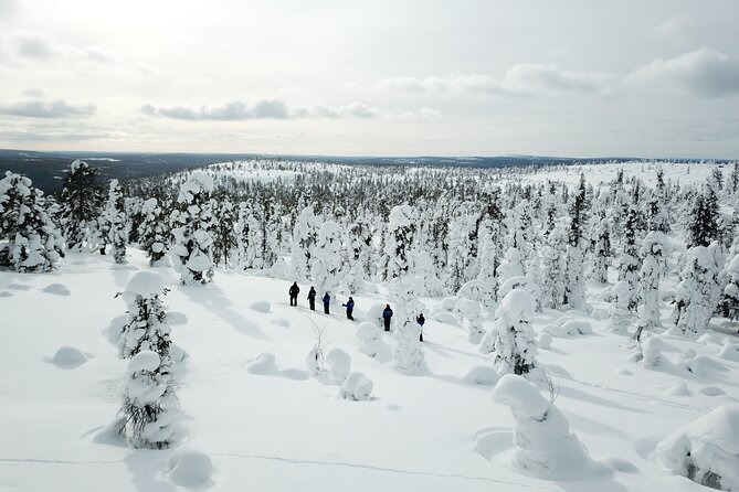 Forest Skiing in Nature - Preparing for the Experience