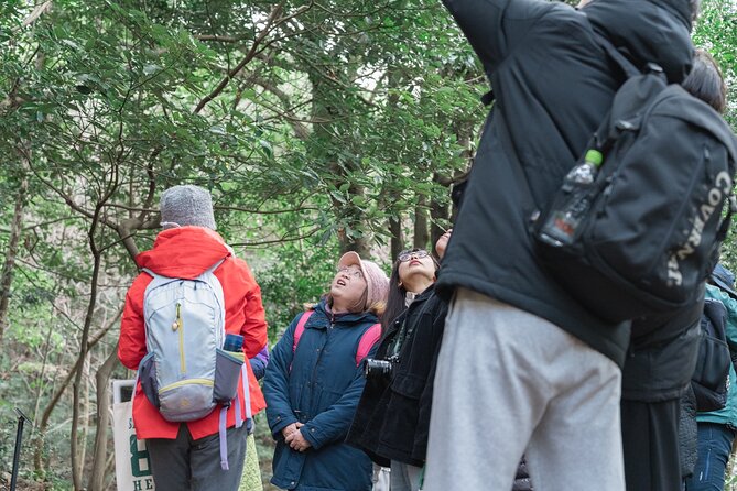 Forest Therapy in Sasaguri Town - About Kabuto Forest Park