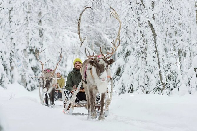 Forest Trail Reindeer Safari - Reindeer Sleigh Ride