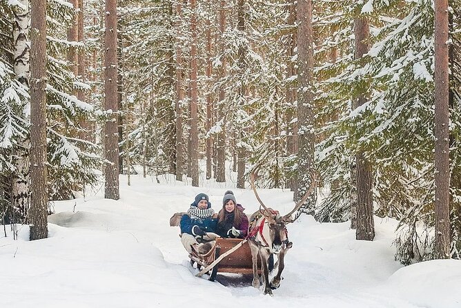 Forest Trail Reindeer Safari - Admission Ticket and Inclusions