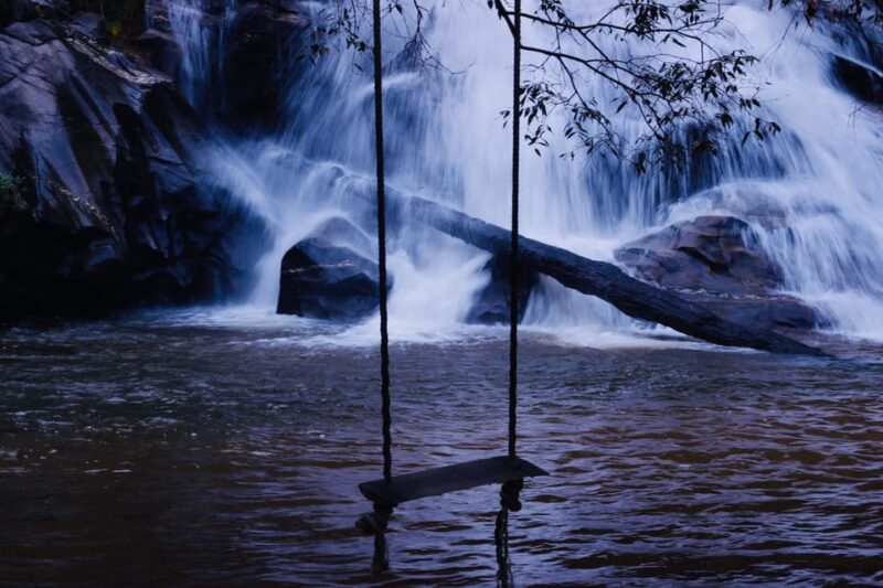 Forest Trekking 2 Days One Night- Only Walk - Lunch and Cooking