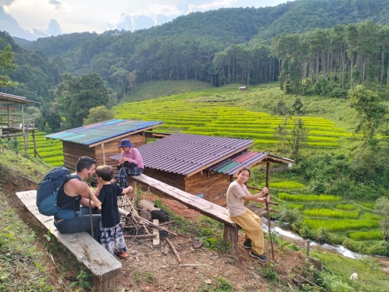 Forest Trekking 2 Days One Night- Only Walk - Waterfall and Accommodation