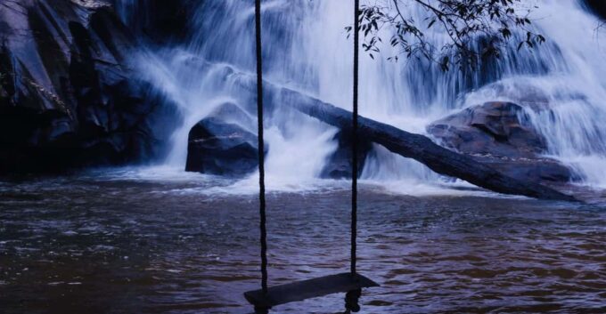 Forest Trekking 2 Days One Night- Only Walk - Day 2 Trekking Itinerary