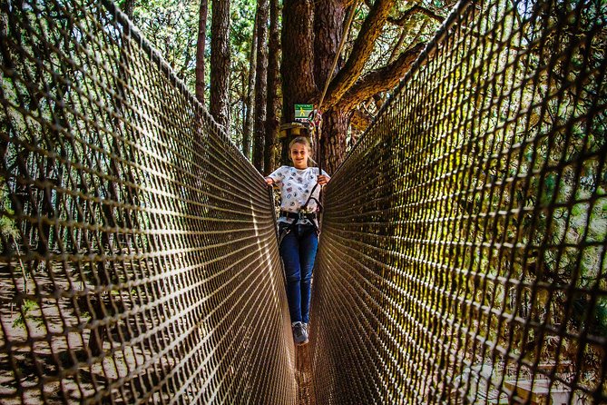 Forestal Park Tenerife Entrance Ticket - Language Support and Weather