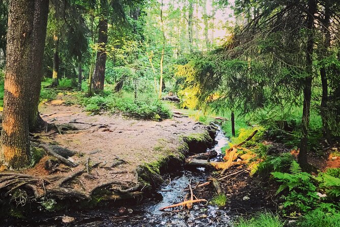 Forestbathing and Natural Spring Water - in Stockholm Nature - Transportation and Accessibility