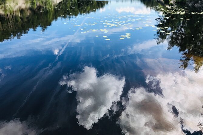 Forestbathing and Natural Spring Water - in Stockholm Nature - Highlights From Customer Reviews