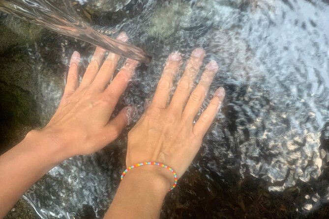 Forestbathing and Natural Spring Water - in Stockholm Nature - Booking and Pricing Information