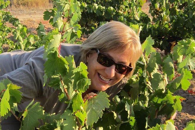 Forget About Driving and Enjoy the Ribera Del Duero!!! - Key Points