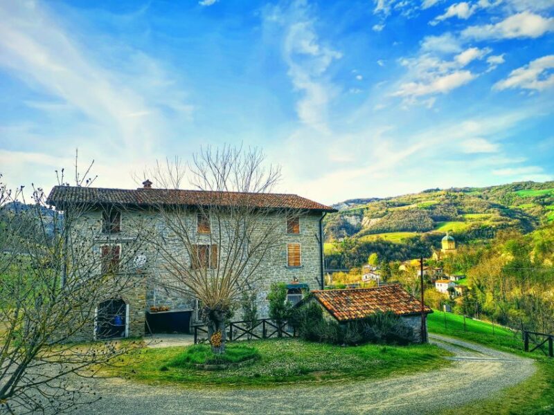 Forli: Cooking Class, Home-Made Pasta, With Meal - Experience and Learning