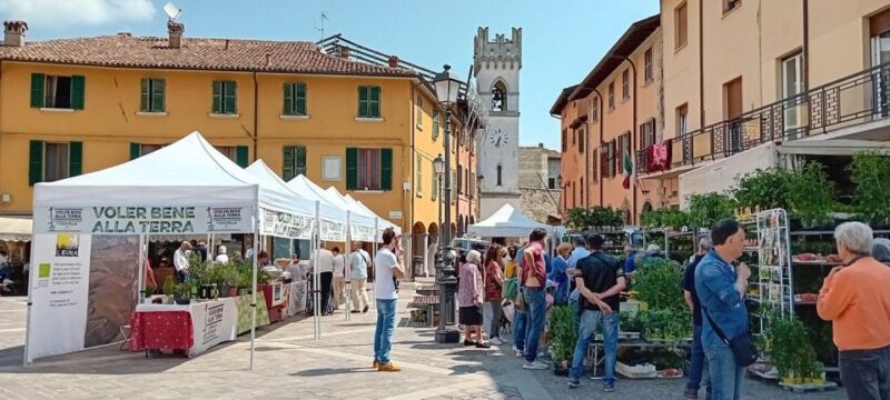Forli: Farm Cooking Class and Slow Food Market Tour - Inclusion & Important Information