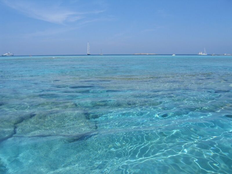 Formentera: Snorkeling Trip by RIB Boat - Key Points