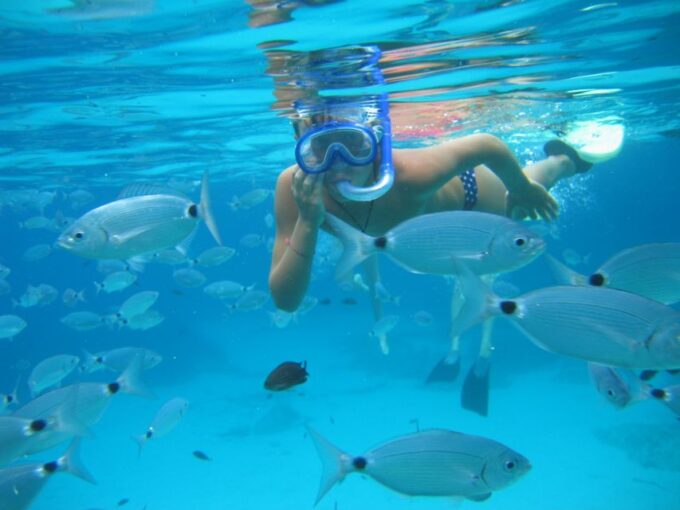 Formentera: Snorkeling Trip by RIB Boat - Frequently Asked Questions