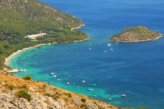 Formentor With Boat Trip + Local Market - Positive Feedback