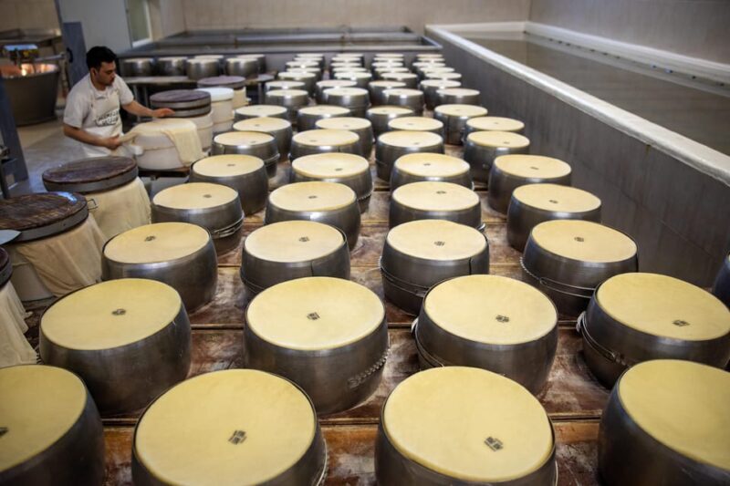 Formigine: Parmesan Cheese Tour With Full Tasting - Restrictions and Important Information