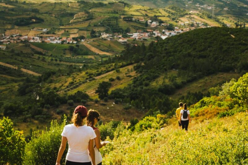 Fórnea Guided Walking Tour + Traditional Experience - Experience Highlights