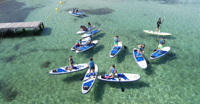 Fornells Bay: 2-Hour Stand-Up Paddle Excursion - Experience Highlights